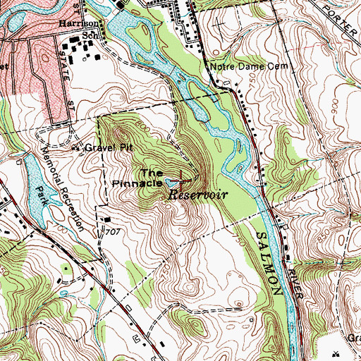 Topographic Map of The Pinnacle, NY