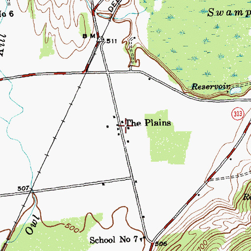 Topographic Map of The Plains, NY
