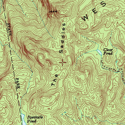 Topographic Map of The Saddles, NY