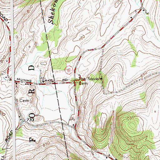 Topographic Map of The Square Cemetery, NY