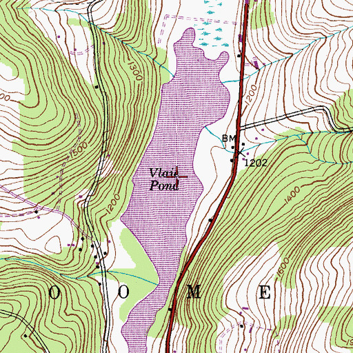 Topographic Map of The Vlaie, NY