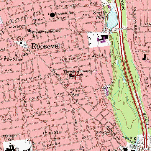 Topographic Map of Theodore Roosevelt School, NY