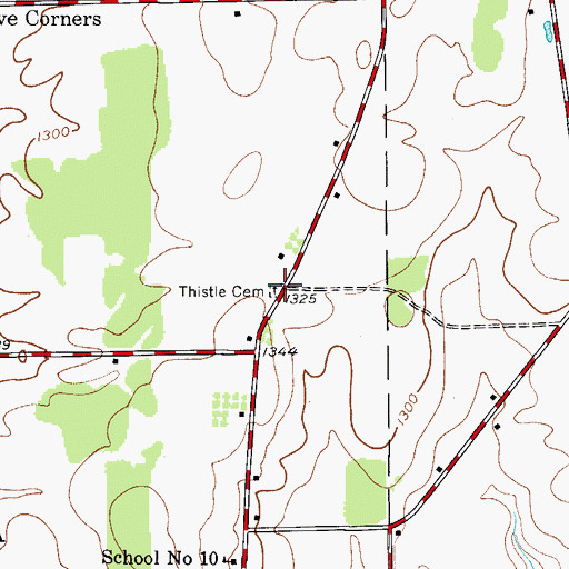Topographic Map of Thistle Cemetery, NY