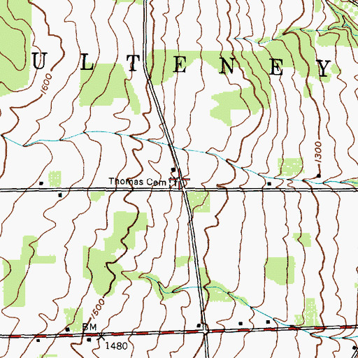 Topographic Map of Thomas Cemetery, NY