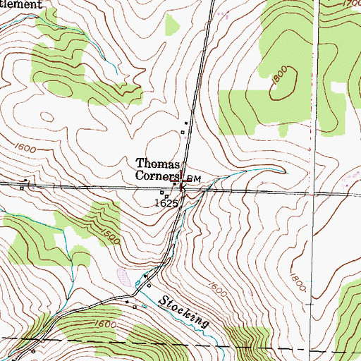 Topographic Map of Thomas Corners, NY