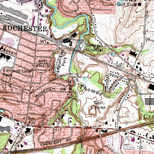 Topographic Map of Thomas Creek, NY