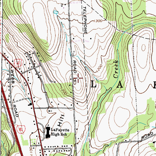 Topographic Map of Thomas Hill, NY