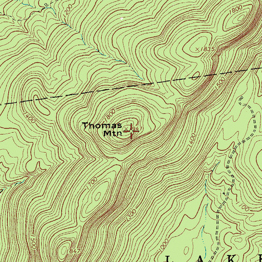 Topographic Map of Thomas Mountain, NY