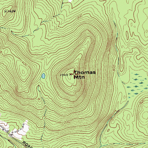 Topographic Map of Thomas Mountain, NY