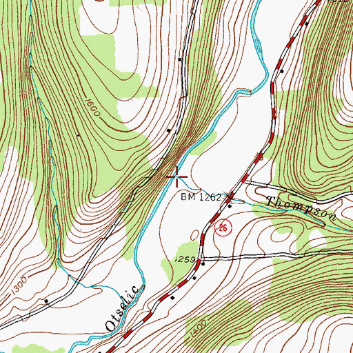 Topographic Map of Thompson Brook, NY