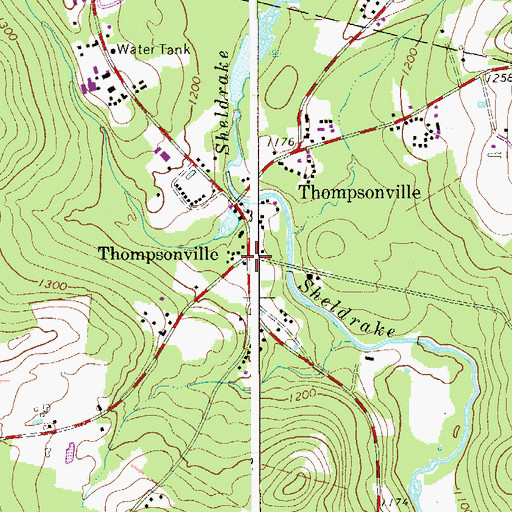 Topographic Map of Thompsonville, NY