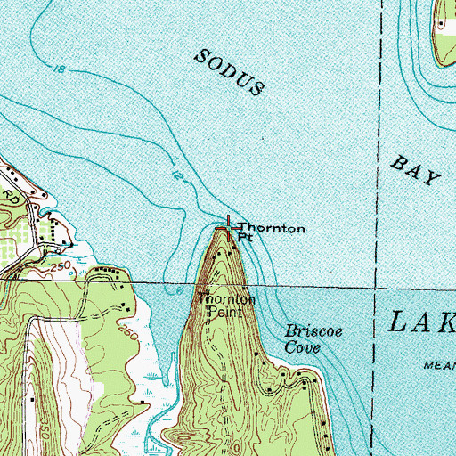 Topographic Map of Thornton Point, NY