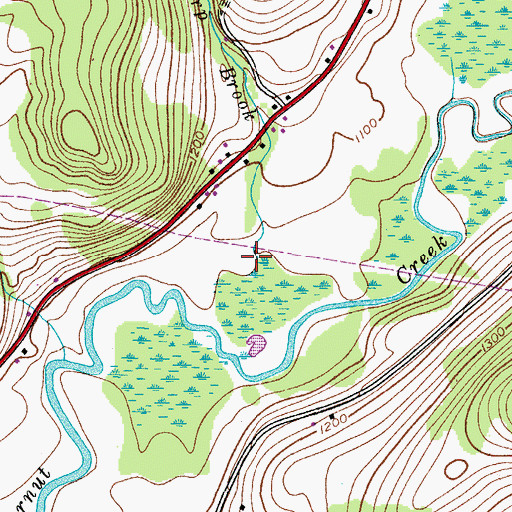 Topographic Map of Thorp Brook, NY