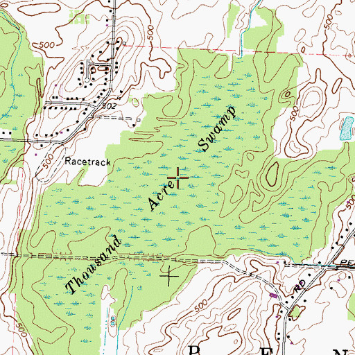 Topographic Map of Thousand Acre Swamp, NY