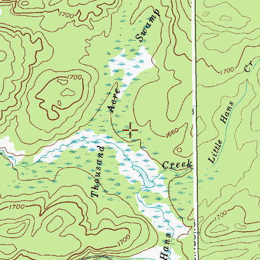 Topographic Map of Thousand Acre Swamp, NY