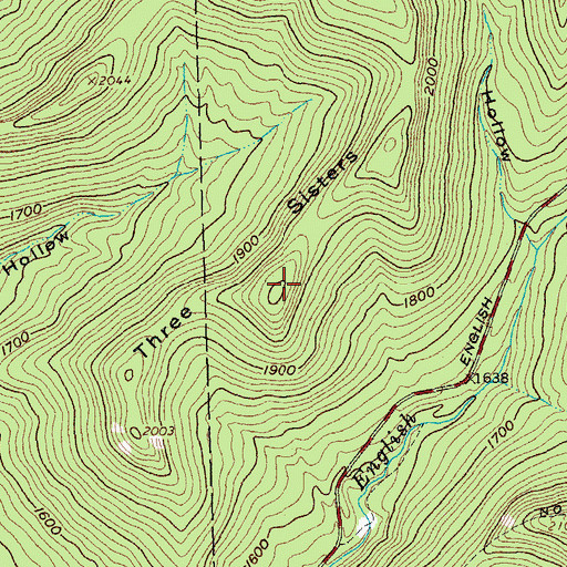 Topographic Map of Three Sisters, NY