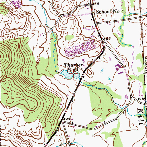 Topographic Map of Thurber Pond, NY
