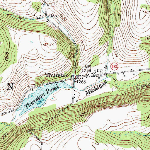 Topographic Map of Thurston, NY