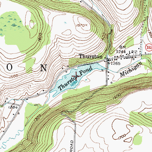 Topographic Map of Thurston Pond, NY