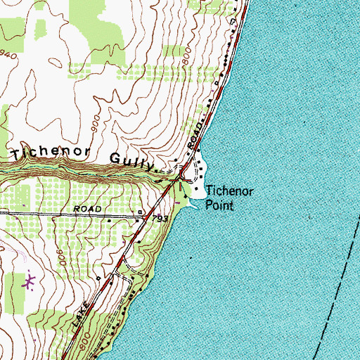Topographic Map of Tichenor Gully, NY