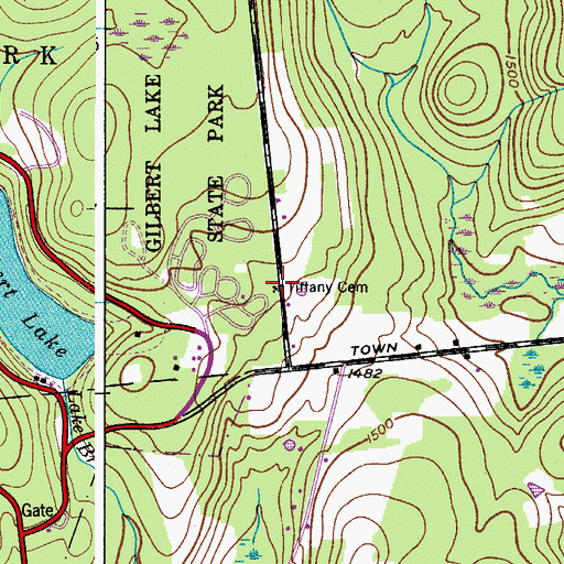 Topographic Map of Tiffany Cemetery, NY