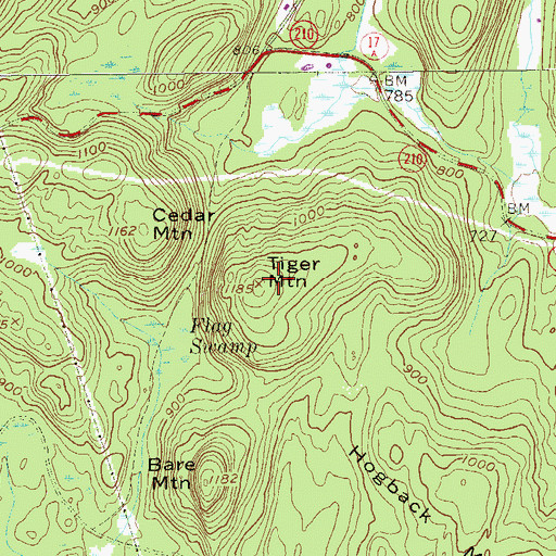 Topographic Map of Tiger Mountain, NY