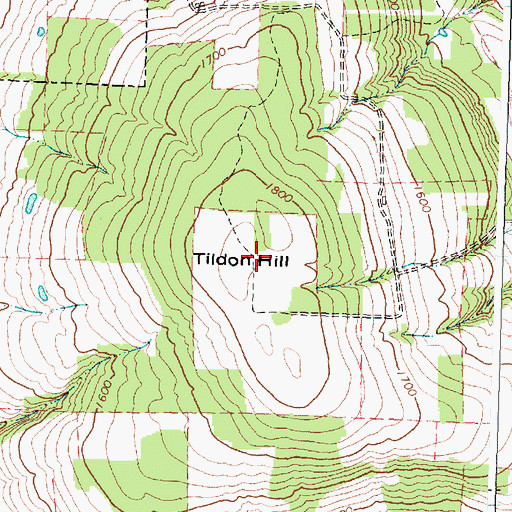 Topographic Map of Tildon Hill, NY