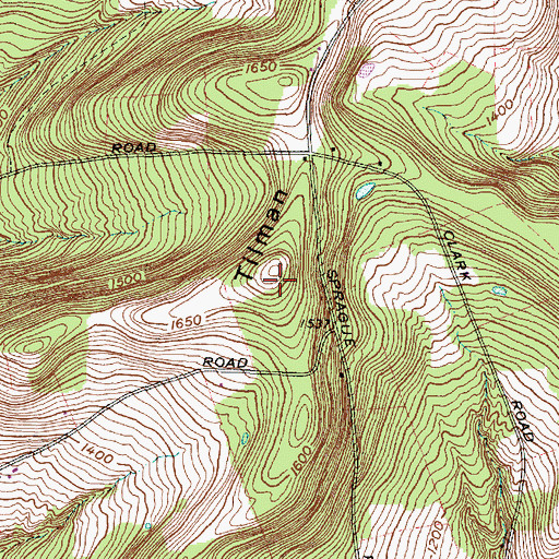 Topographic Map of Tilman Hill, NY