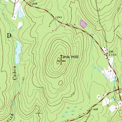 Topographic Map of Tink Hill, NY