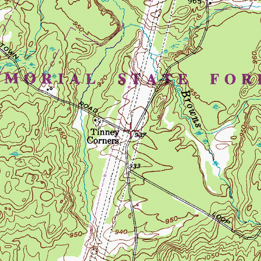 Topographic Map of Tinney Corners, NY