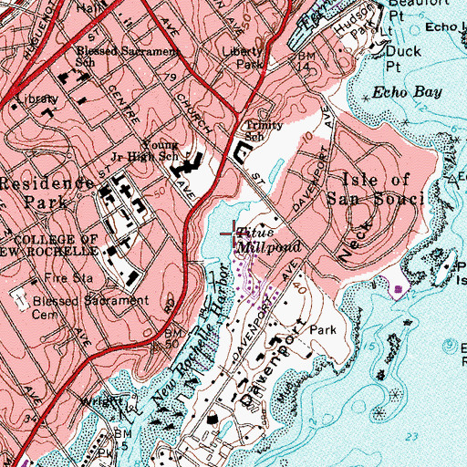 Topographic Map of Titus Millpond, NY