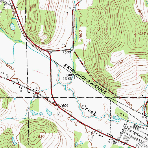 Topographic Map of Toad Hollow, NY