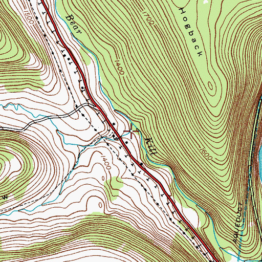 Topographic Map of Toad Hollow, NY