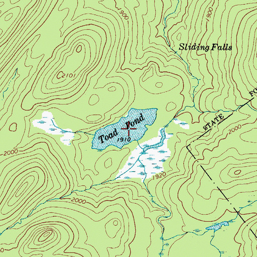 Topographic Map of Toad Pond, NY