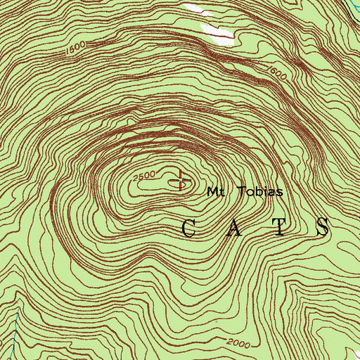 Topographic Map of Mount Tobias, NY