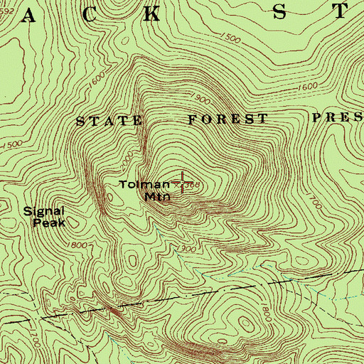 Topographic Map of Tolman Mountain, NY