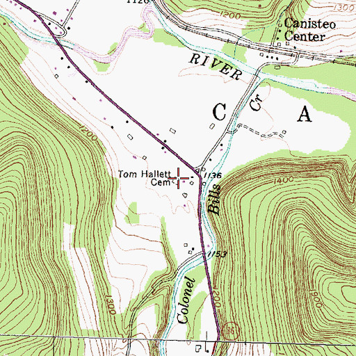 Topographic Map of Tom Hallett Cemetery, NY