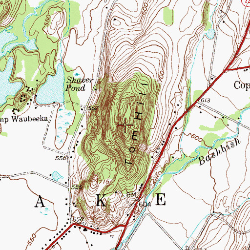 Topographic Map of Tom Hill, NY