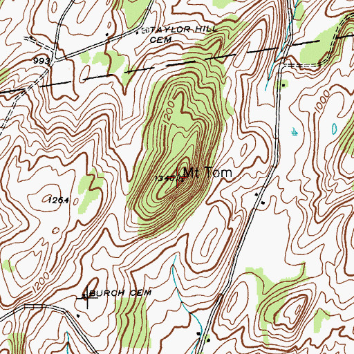 Topographic Map of Mount Tom, NY