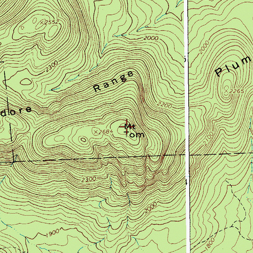 Topographic Map of Mount Tom, NY