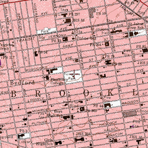 Topographic Map of Herbert Von King Park, NY