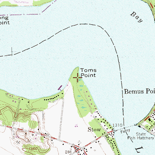 Topographic Map of Toms Point, NY
