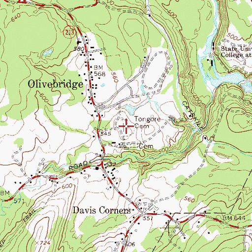 Topographic Map of Tongore Cemetery, NY
