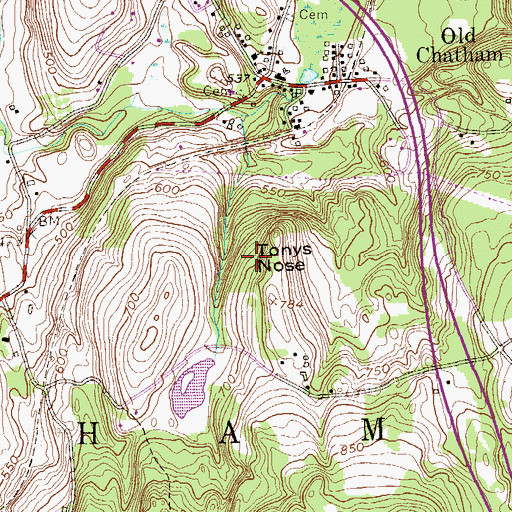 Topographic Map of Tonys Nose, NY