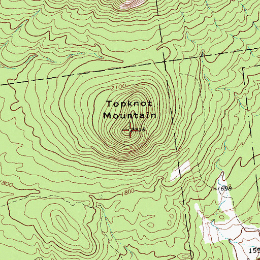 Topographic Map of Topknot Mountain, NY