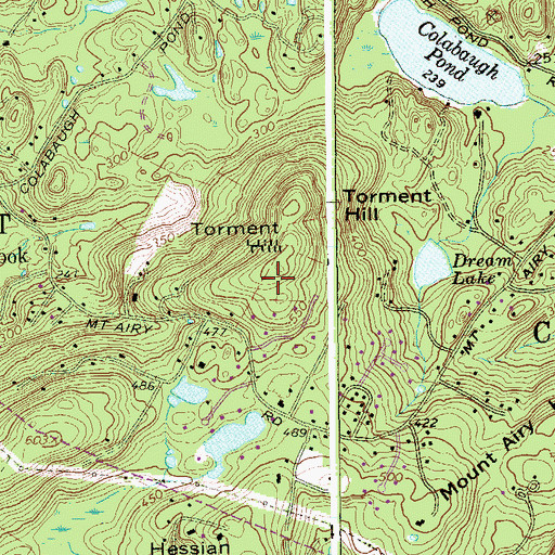 Topographic Map of Torment Hill, NY