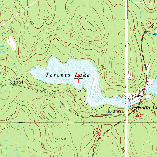 Topographic Map of Toronto Lake, NY