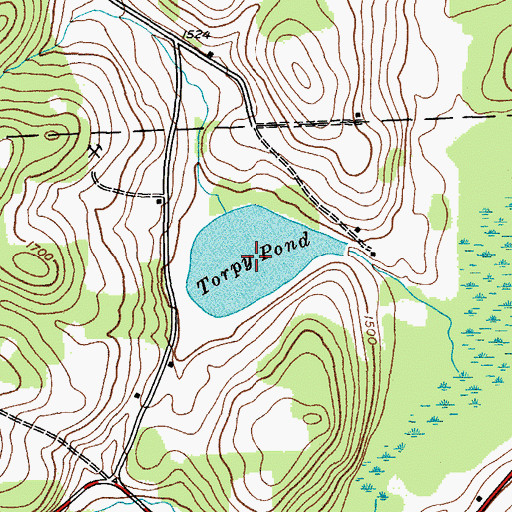 Topographic Map of Torpy Pond, NY