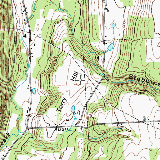 Topographic Map of Torry Hill, NY