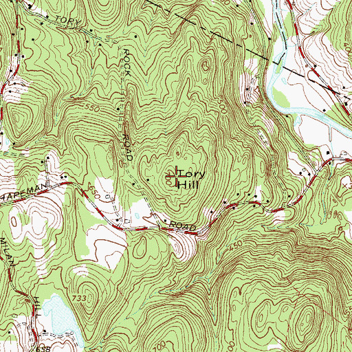 Topographic Map of Tory Hill, NY